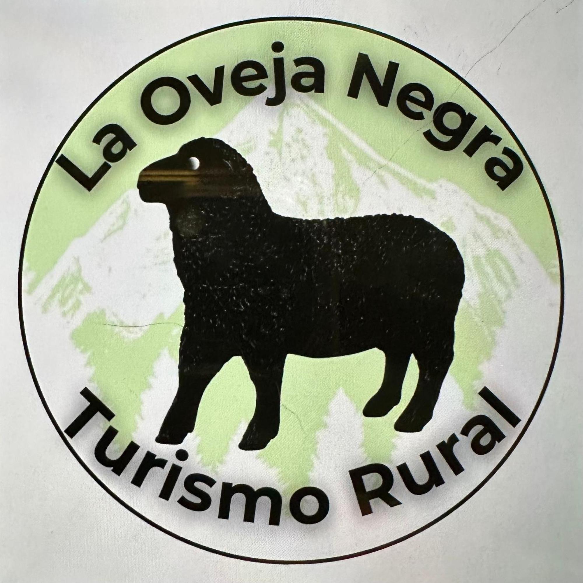 Casa La Oveja Negra, Con Piscina Villa Ourense Bagian luar foto
